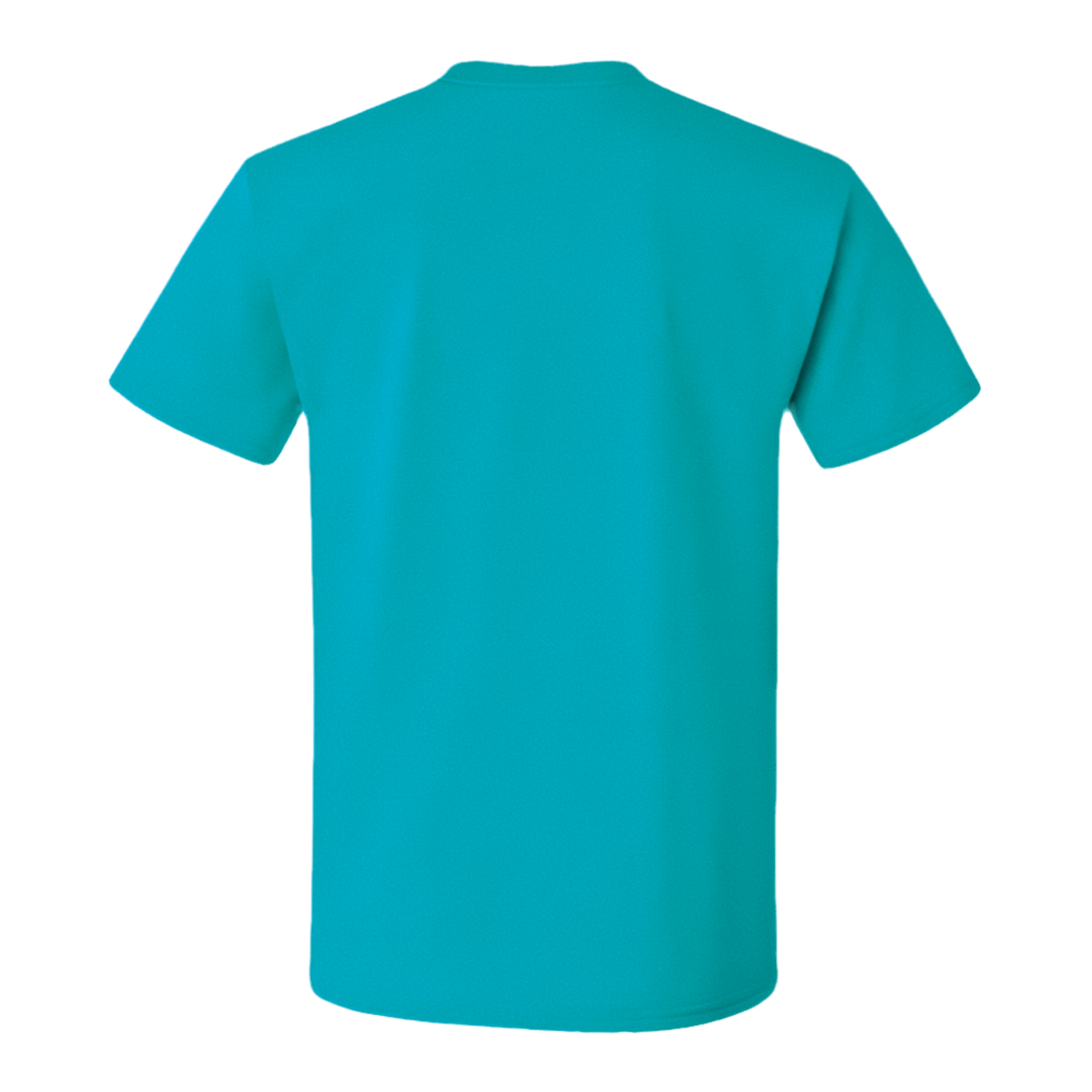 Back view of Crewneck Cotton T-Shirt in teal, unisex classic fit made from 100% preshrunk high-density cotton.