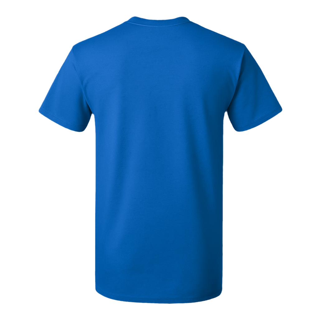 Back view of a classic fit crewneck cotton t-shirt in royal blue, featuring a clean design and soft fabric.