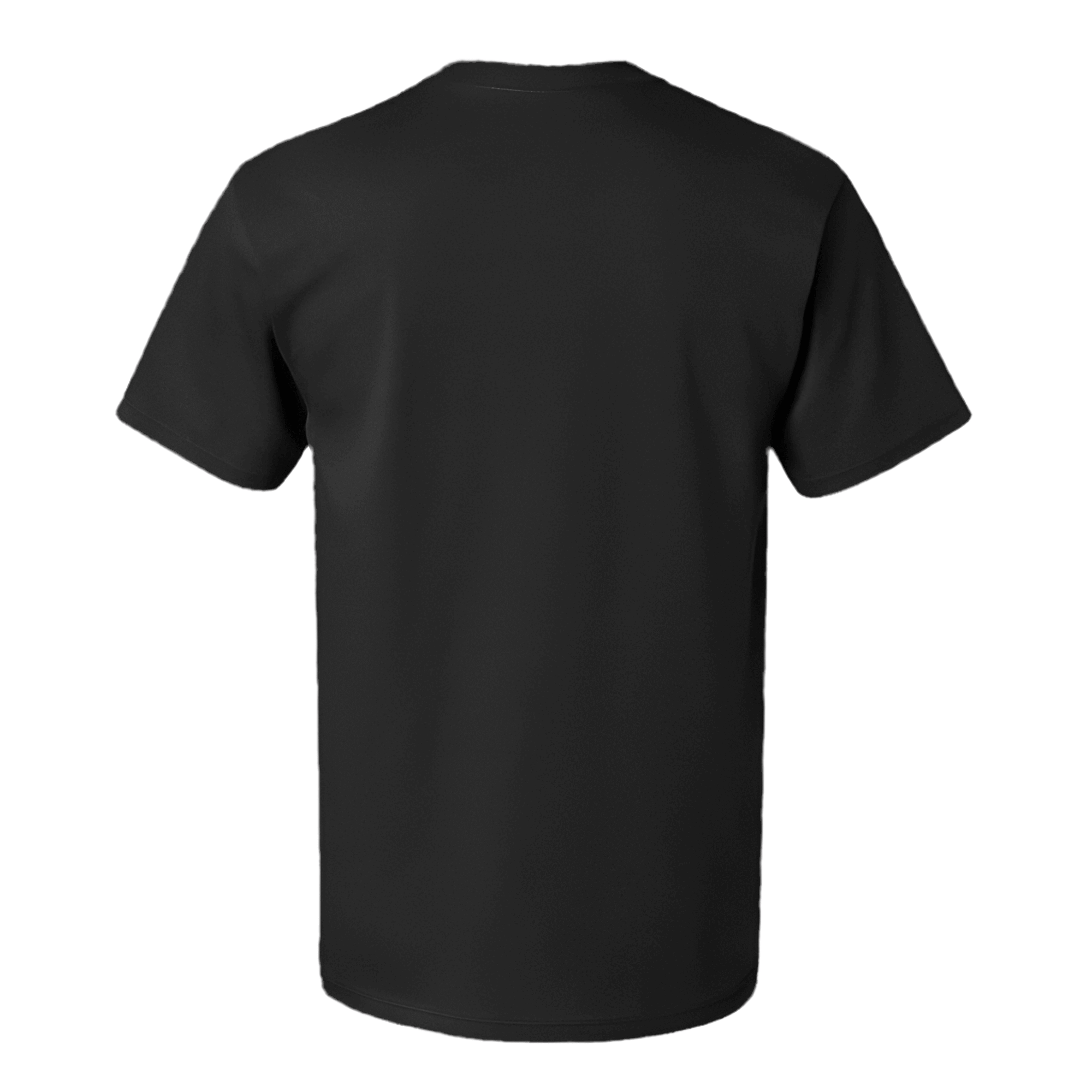 Back view of a crewneck cotton t-shirt in black, featuring a classic fit and clean lines, perfect for streetwear.